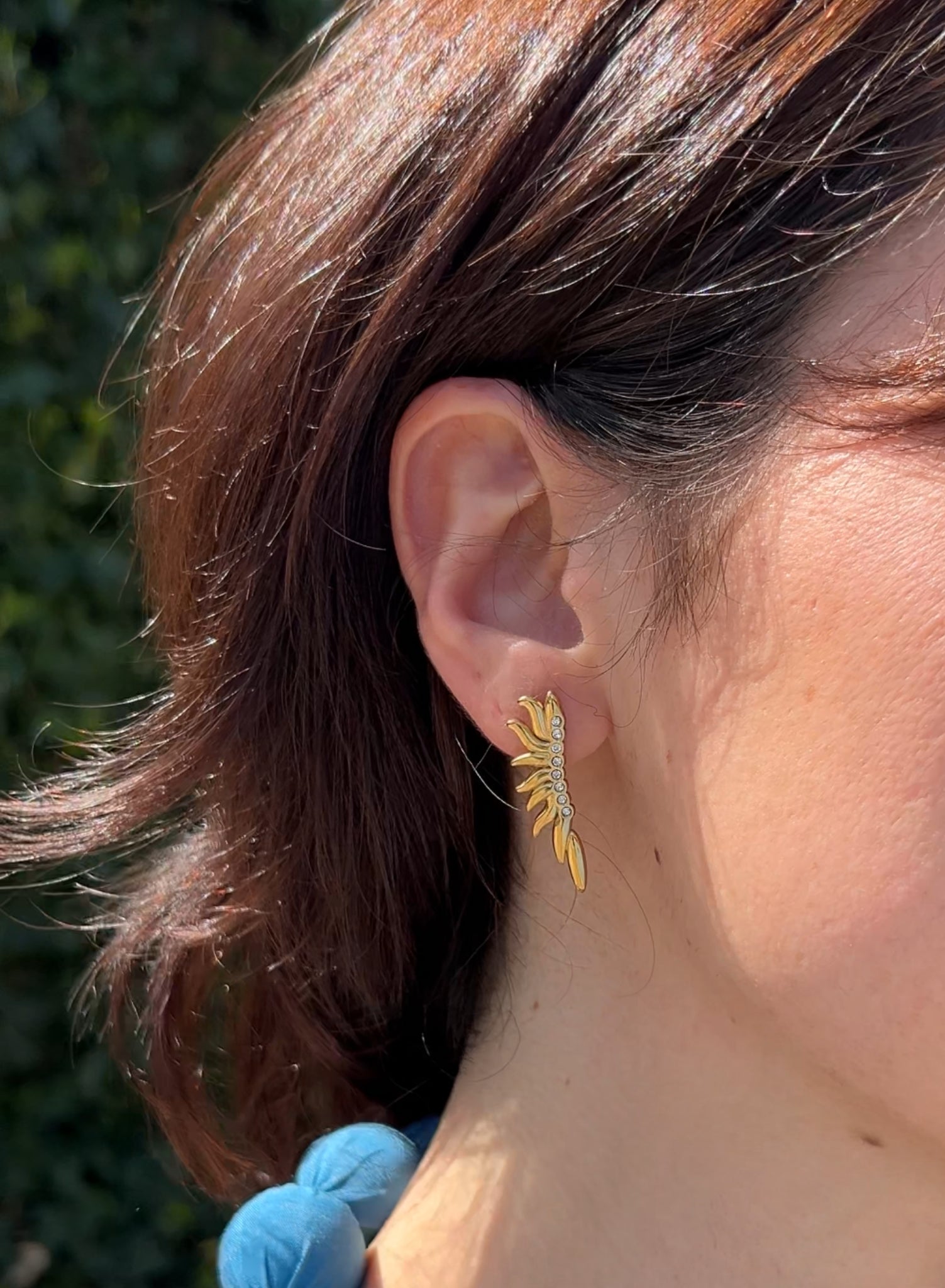 Pendientes alas
