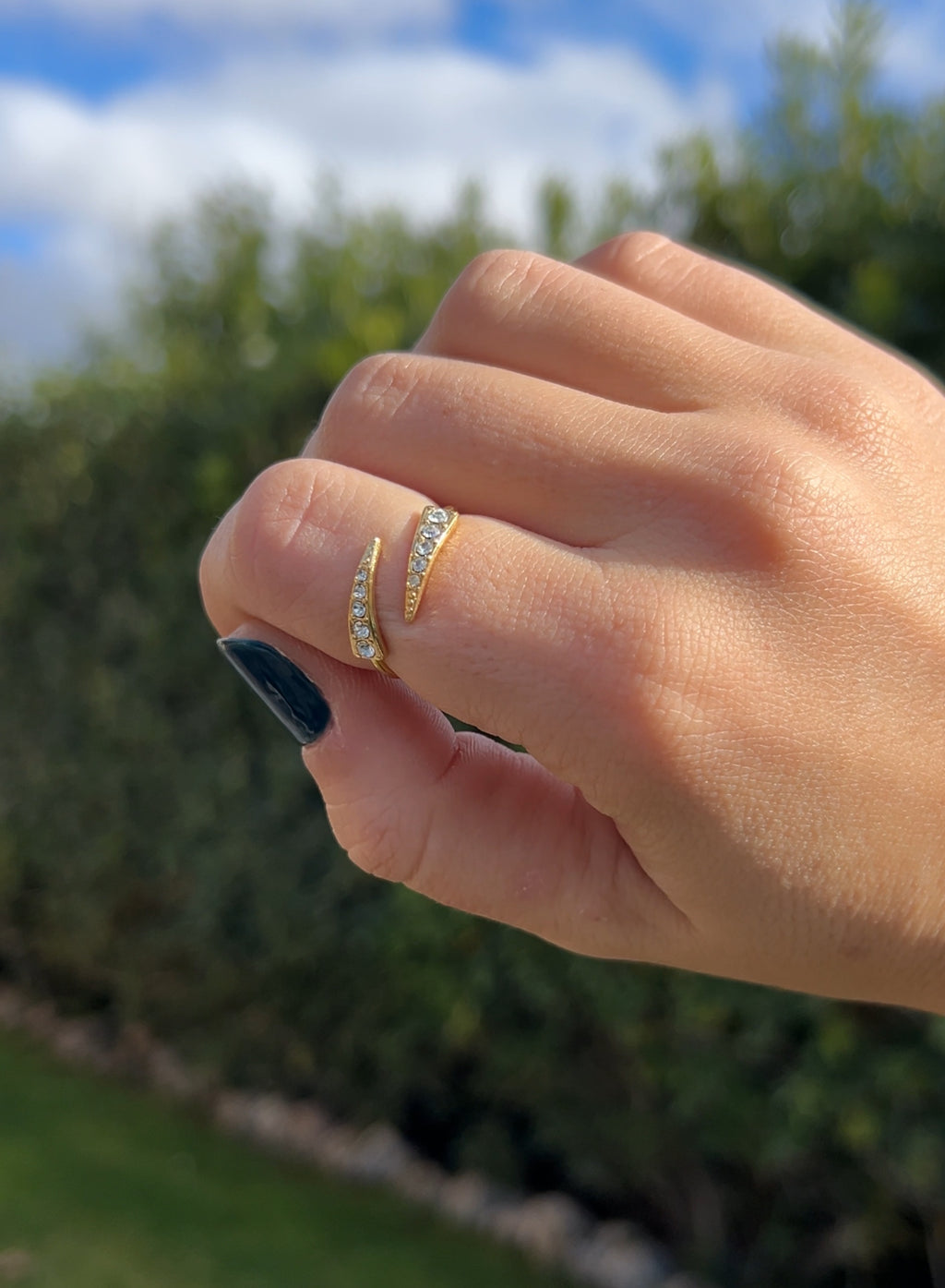 Anillo picos