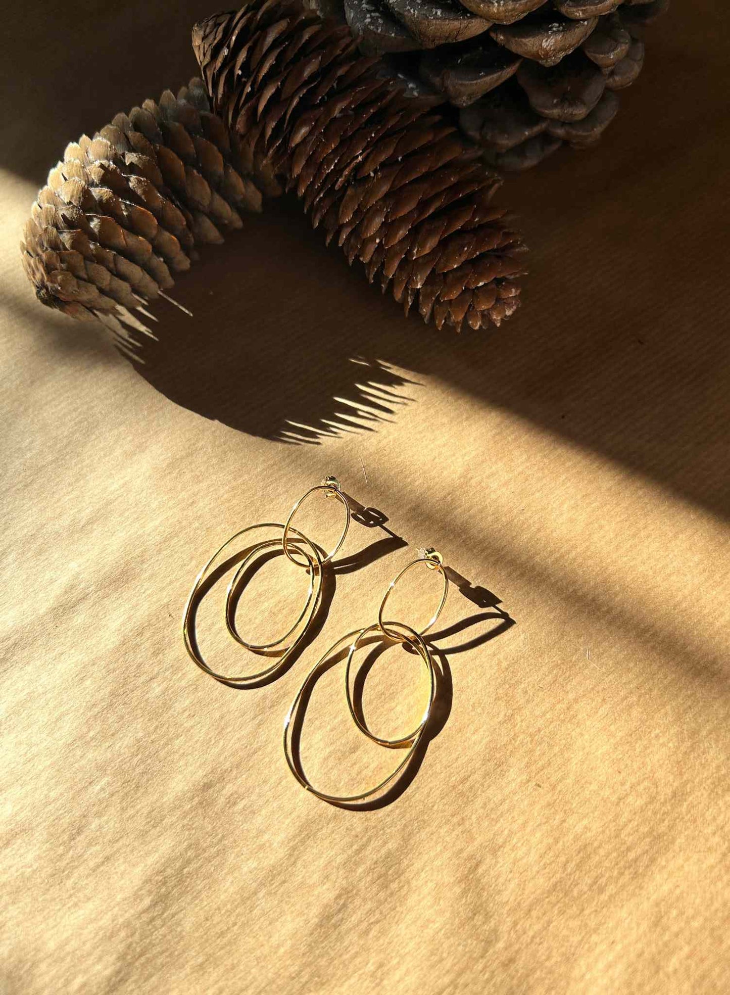 Double hoop earrings