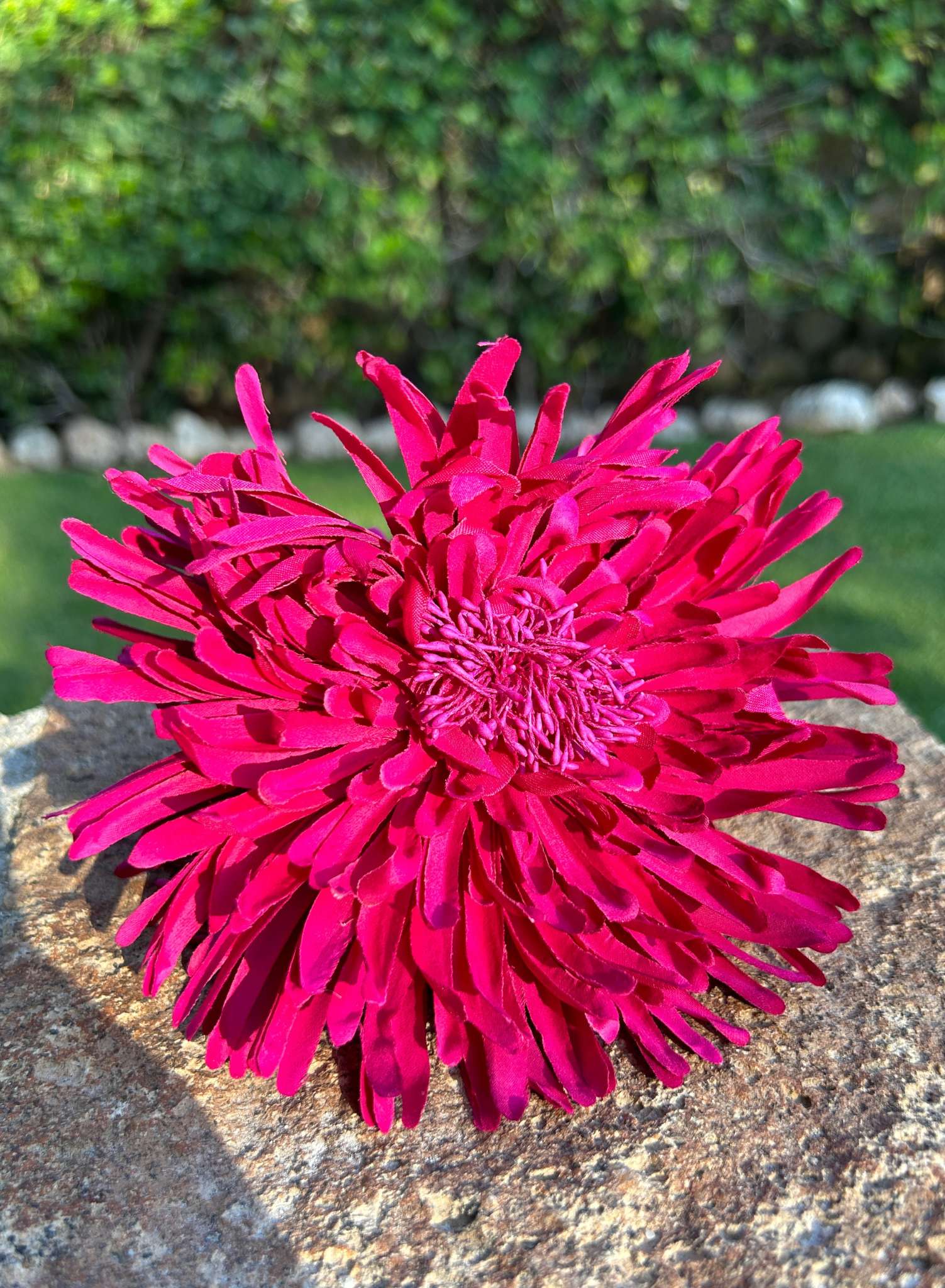 Pinza flor fucsia