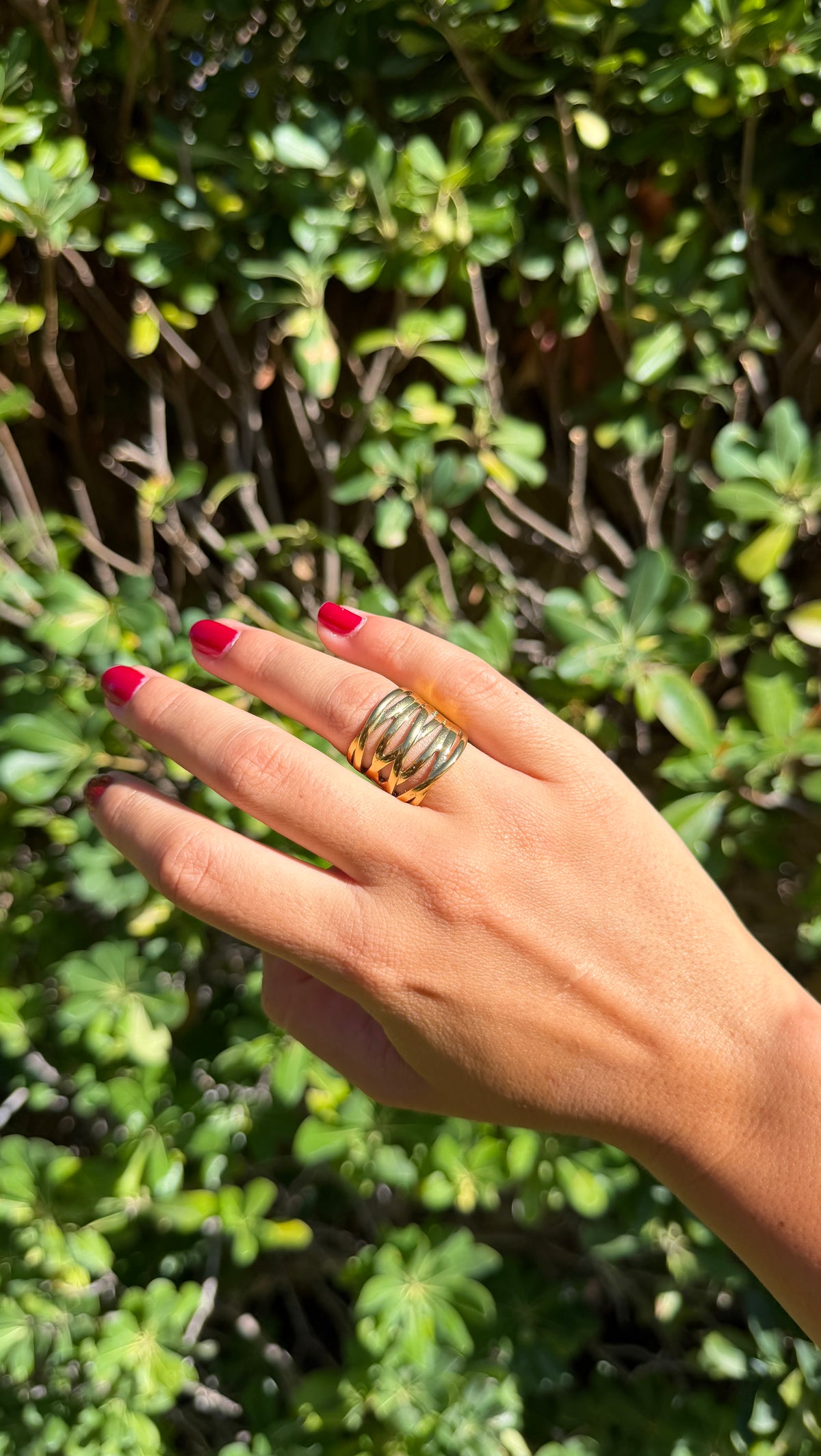 Anillo entrelazado