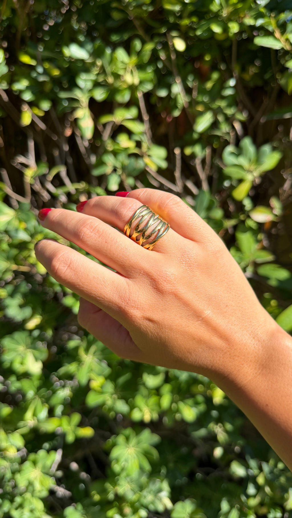 Anillo entrelazado