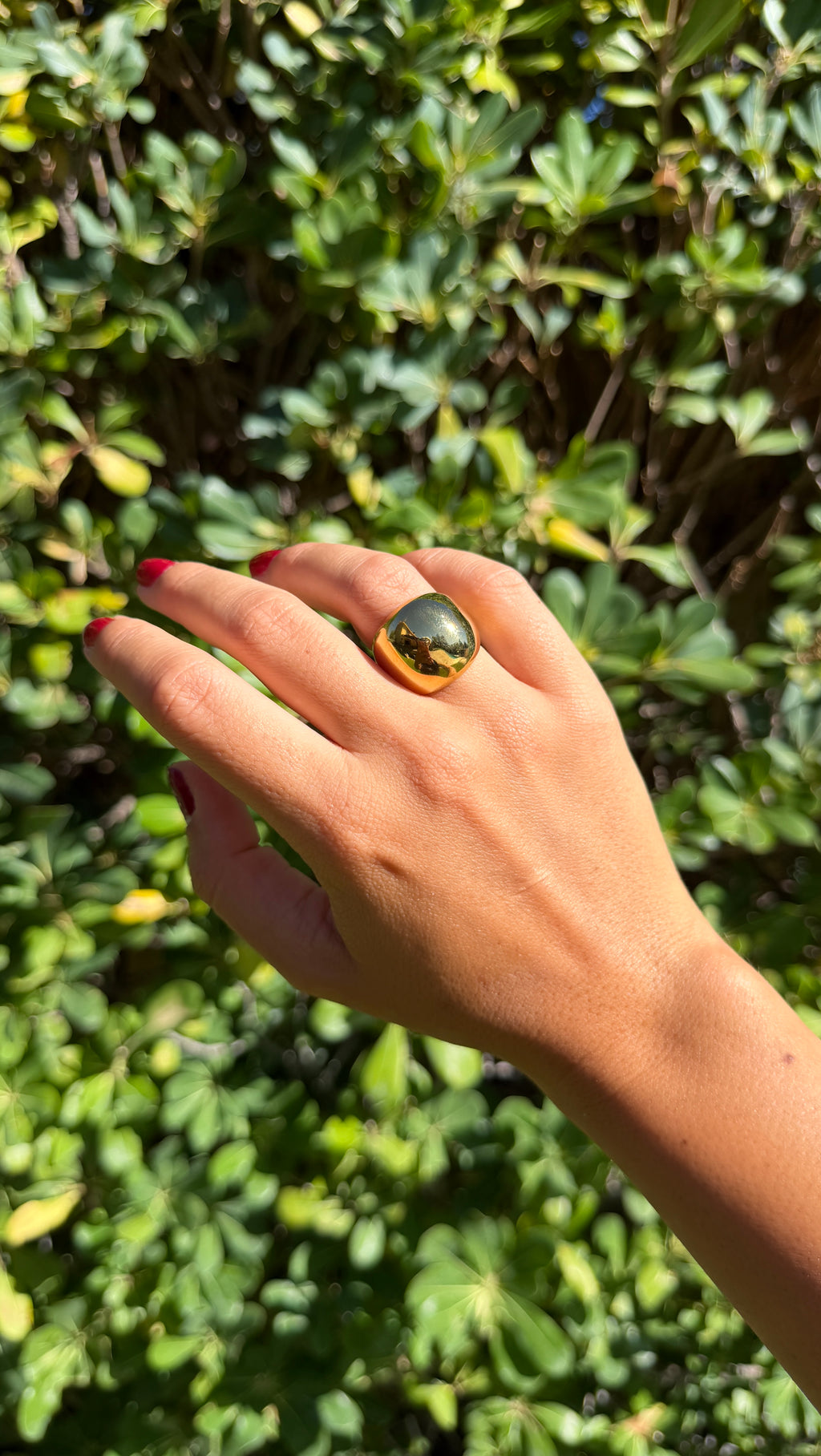 Anillo círculo