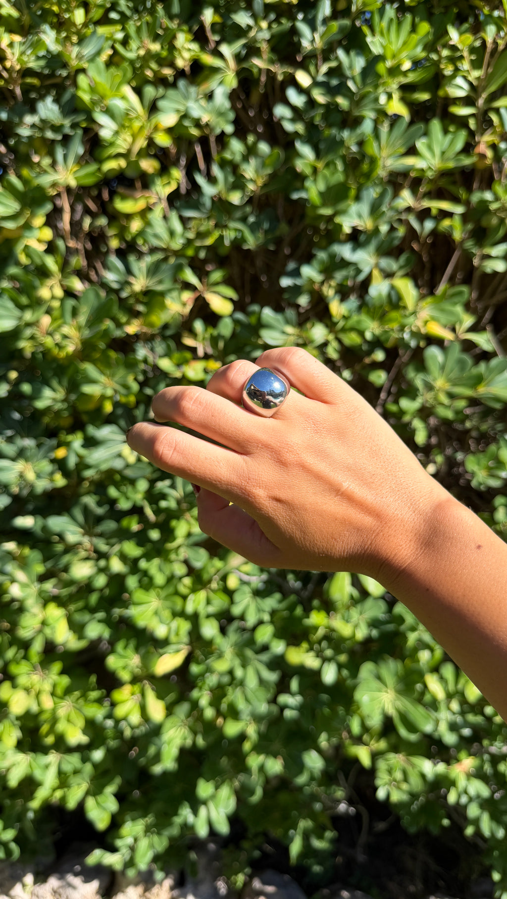 Anillo círculo